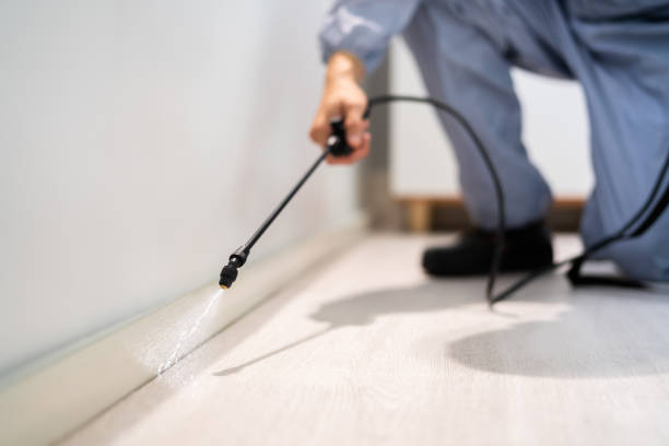 Licensed Cockroach Control service in Leon County County, TX - Nex Pest Control