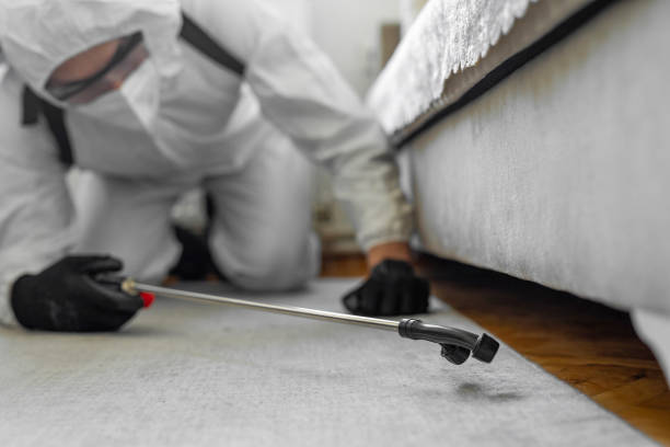 Professional Cockroach Control technician working in Leon County County, TX